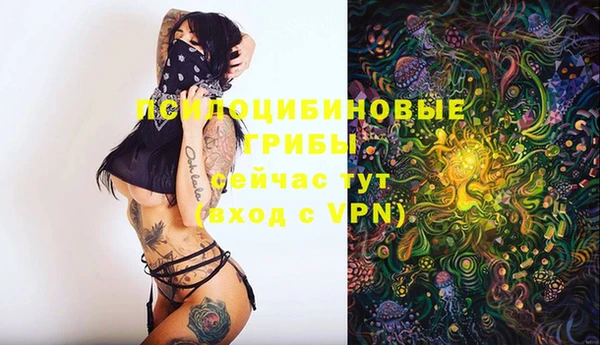 трава Беломорск